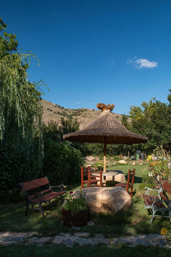 La Livada Villa Greci Екстериор снимка