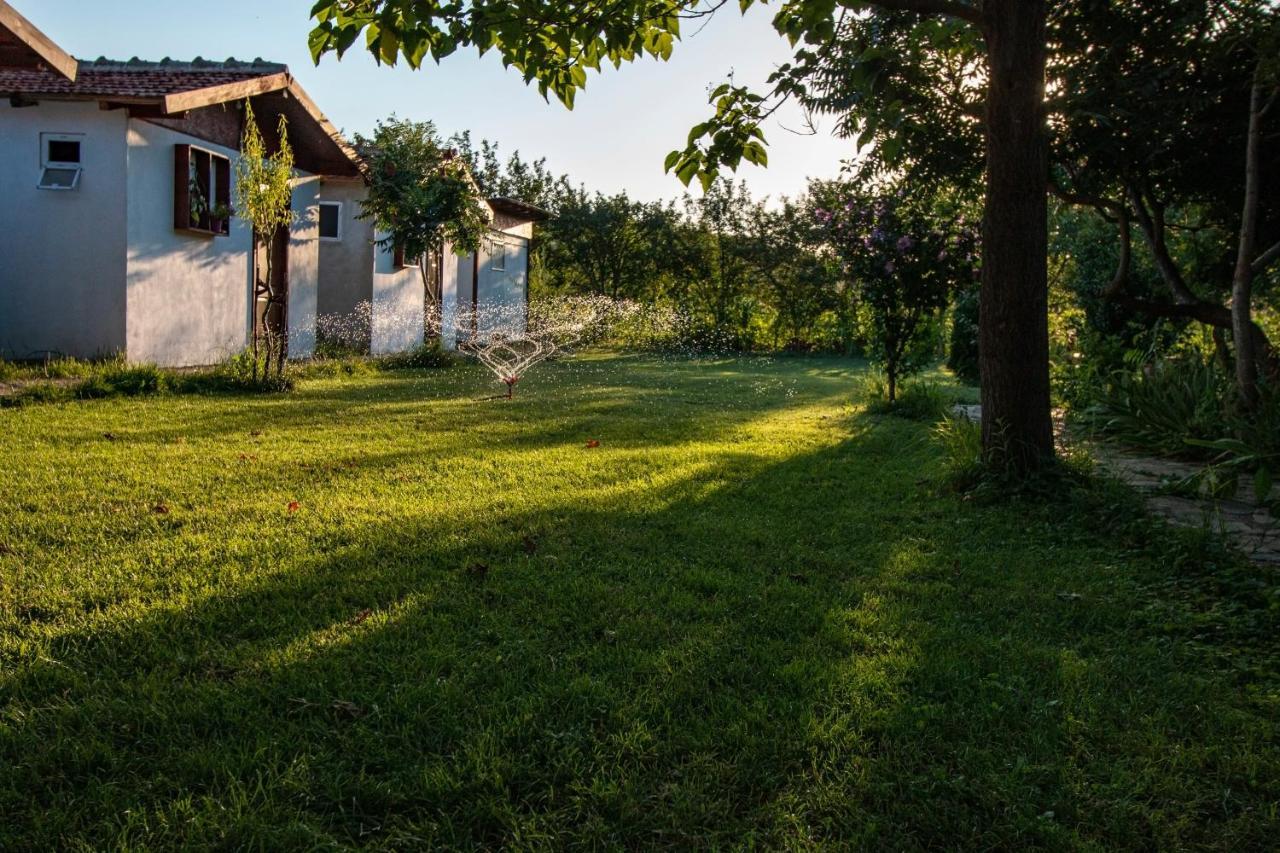 La Livada Villa Greci Екстериор снимка