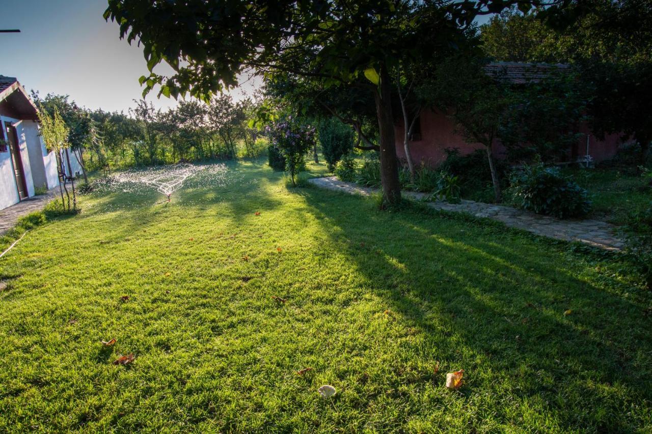 La Livada Villa Greci Екстериор снимка