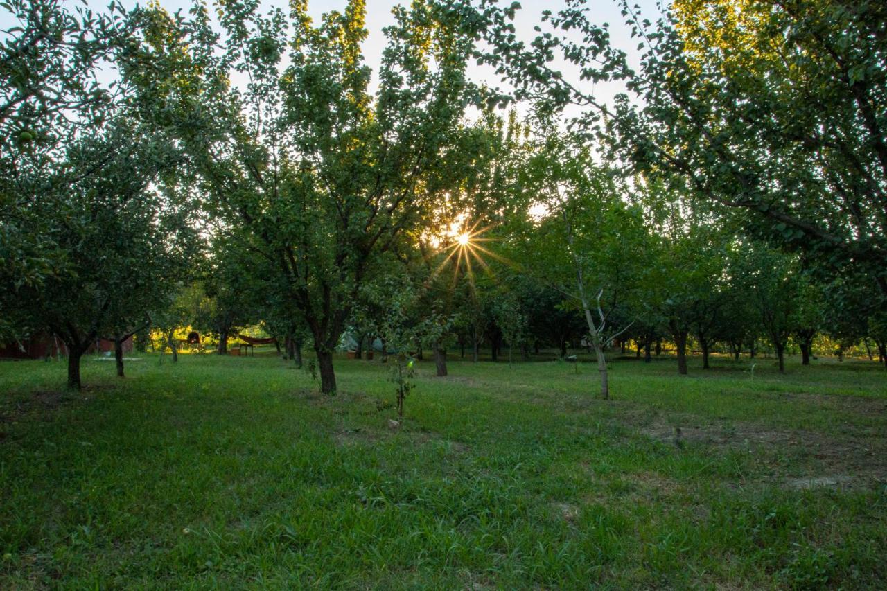 La Livada Villa Greci Екстериор снимка