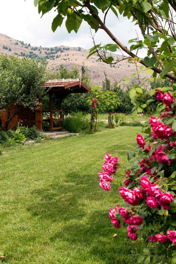 La Livada Villa Greci Екстериор снимка
