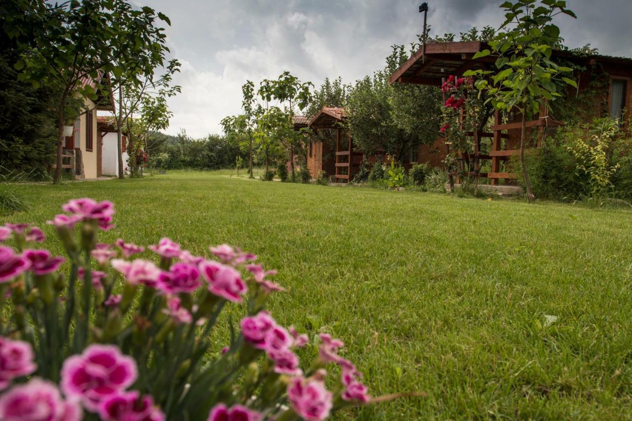La Livada Villa Greci Екстериор снимка